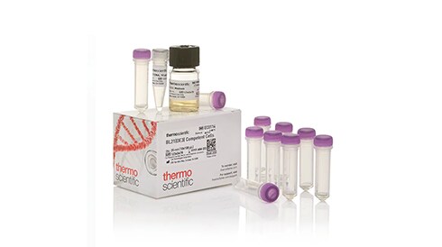 Competent Cells