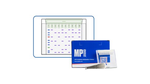 PAGE Analysis