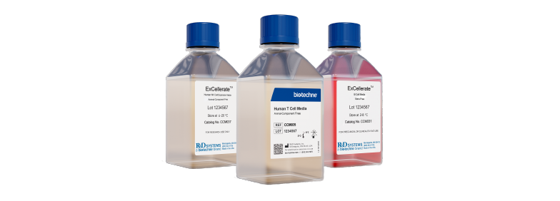 Cell Culture
