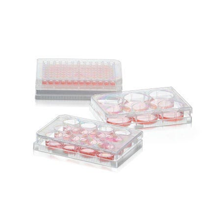 Thermo Scientific™ 96 Well Plate, Sphera Low-Attachment Surface