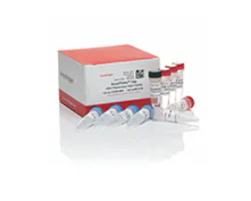 High Fidelity PCR Reagents and Kits