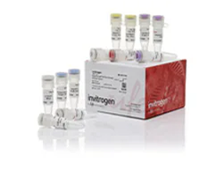 Direct PCR Reagents and Kits