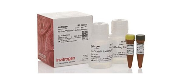 No Stain Protein Labeling Reagent