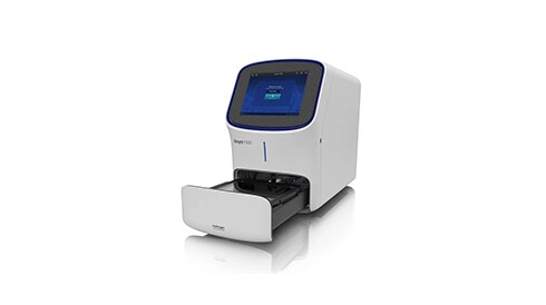 Gel Imaging