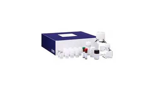 Cell Structure Reagents and Kits