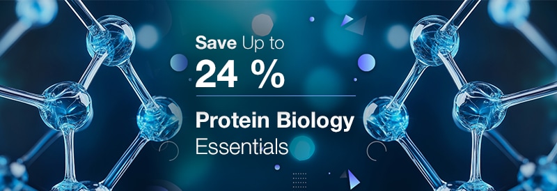 Protein Biology Essentials