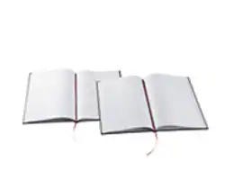 Notebooks and Papers