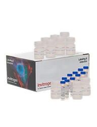 Contec™ Sterile IPA