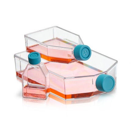Thermo Scientific™ Nunclon™ Sphera™ Flasks