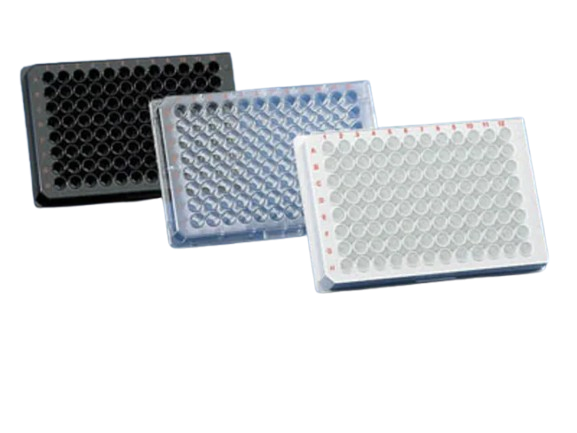 25360_Merch_P1_Product