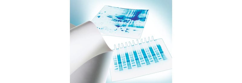 Merck Immobilon™-P PVDF Membrane
