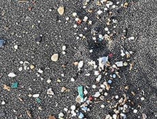 Microplastics: Investigating Risk and Finding Evidence