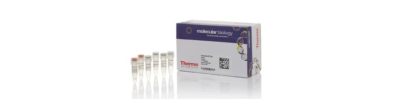 Thermo Scientific™ Maxima First Strand cDNA Synthesis Kit for RT-qPCR