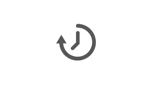 Efficiency Icon