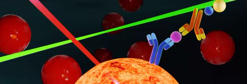 Luminex Assays