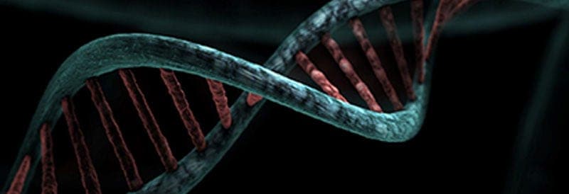 The Average Human Body has Enough DNA to Travel From the Sun to Pluto - 17 Times