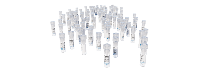 Antibodies