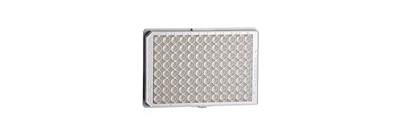 Shop Greener Choice Greiner Bio-One microplates 