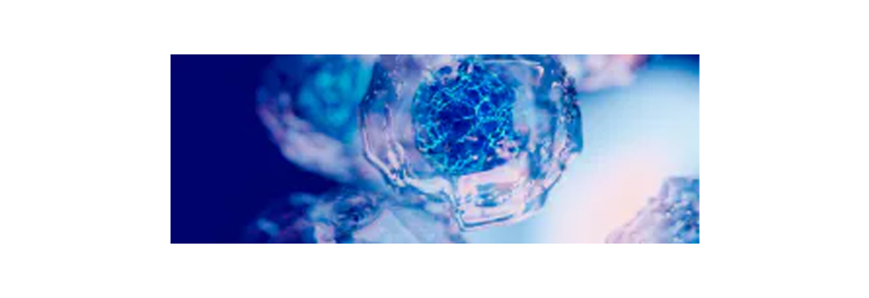 Teaser_Imagery_Layout_1