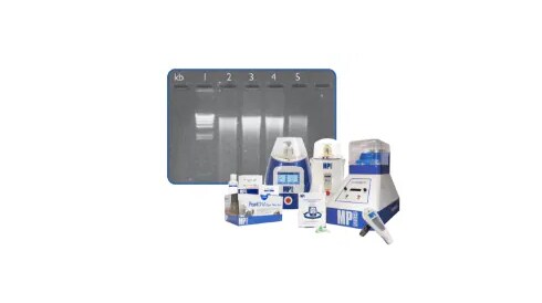 Tissue and Fecal Matter Processing