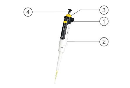 BRAND Transferpettes