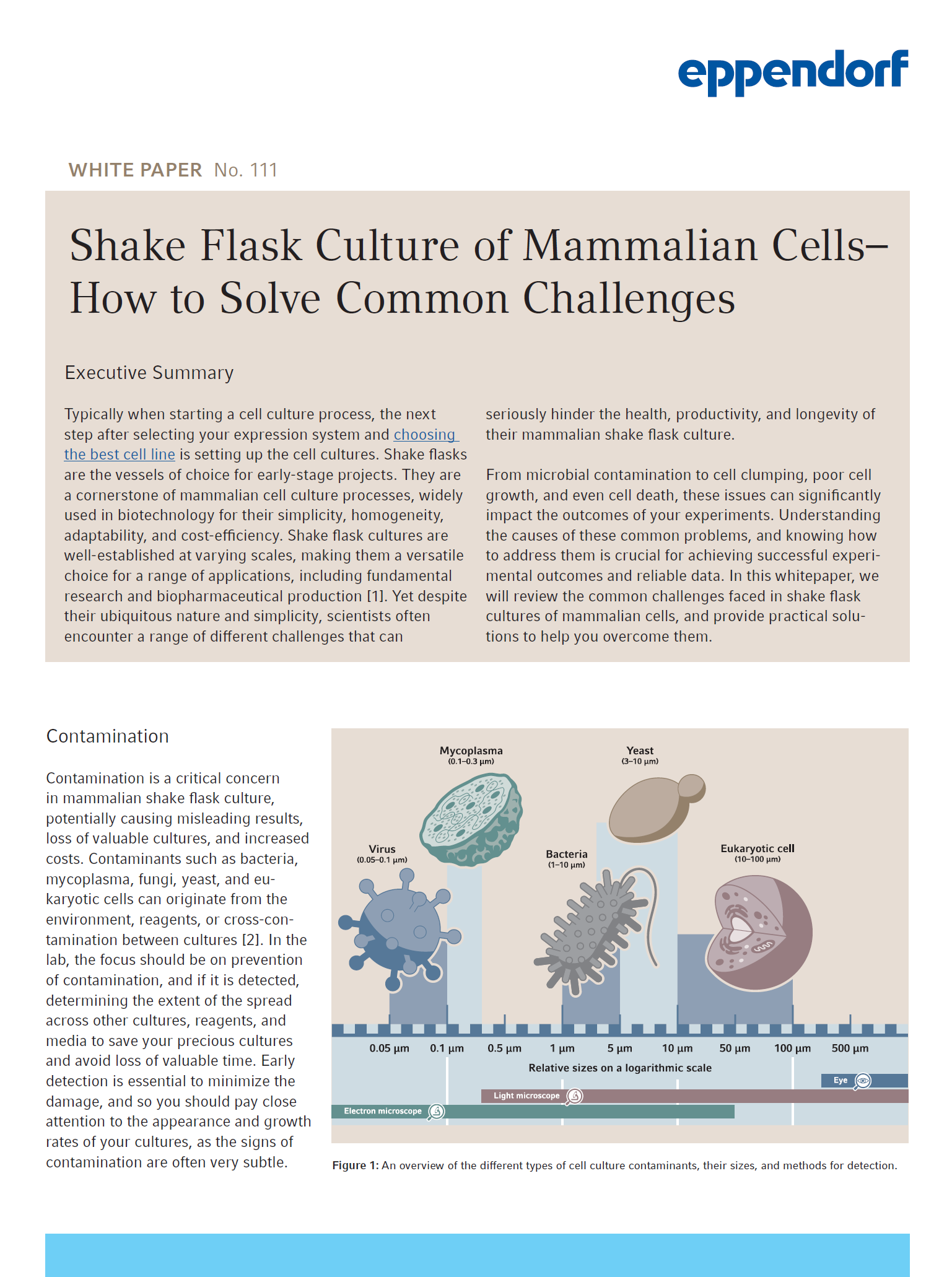 Shake Flask Culture of Mammalian Cells