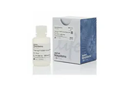 Real-Time PCR Master Mixes