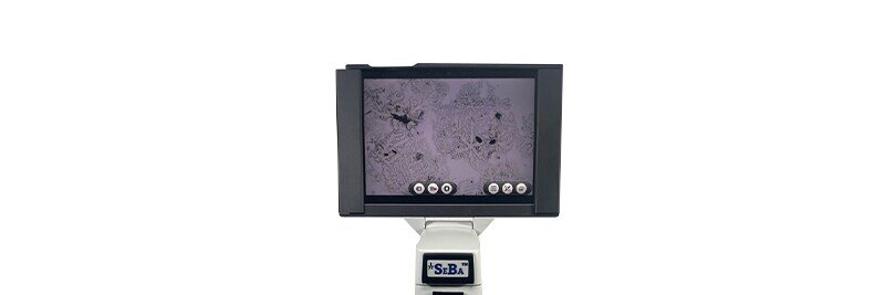 Digital Compound Classroom Microscopes