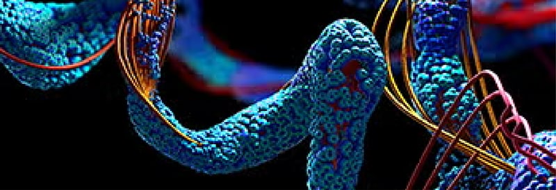 Biomarker Discovery