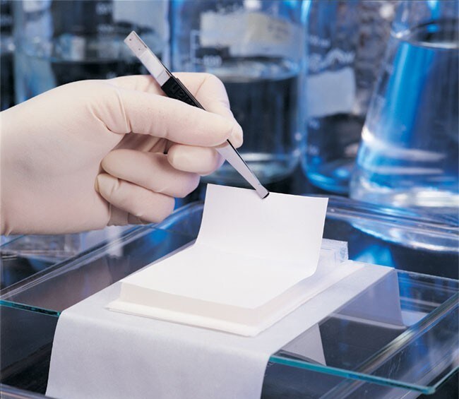 15308_image_tab_protein_3_new 15308_image_tab_protein_3_new