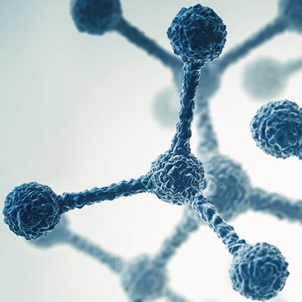 Digitale oder Real-Time PCR?