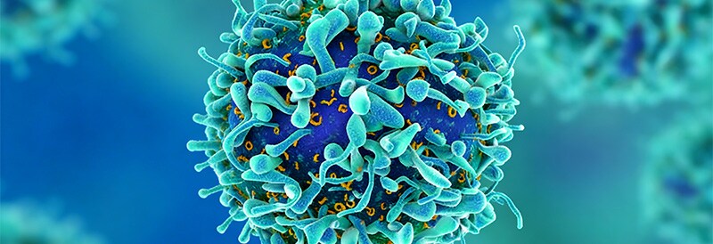 Successful Cell Therapy Manufacturing