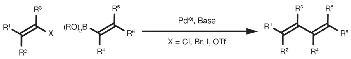 Suzuki_header_image_v2 Suzuki_header_image_v2