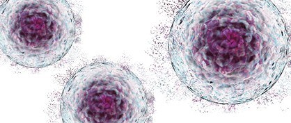 Equipment Challenges in Scaling Up Cell Therapy Processes