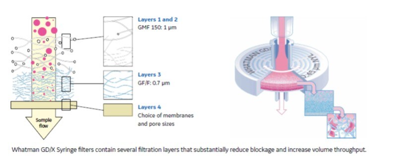 Whatman_GDX_Diagram Whatman_GDX_Diagram