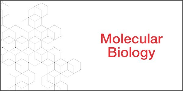 Molecular Biology