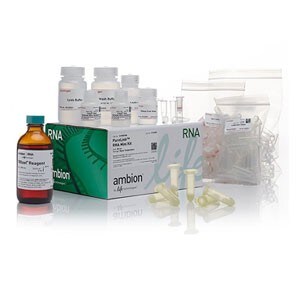 Molecular_Biology_Purification Molecular_Biology_Purification