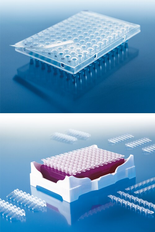 12186_MainIMG 12186_MainIMG