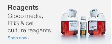 Gibco media, FBS & cell culture reagents