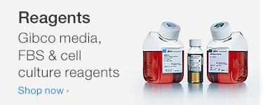 Gibco media, FBS & cell culture reagents Gibco media, FBS & cell culture reagents