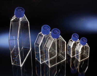 Thermo Scientific Nunc&trade; Cell Culture Treated EasYFlasks