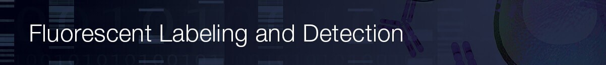 q2-results-cell-culture-workflow-solutions-fluorescent-95872 q2-results-cell-culture-workflow-solutions-fluorescent-95872