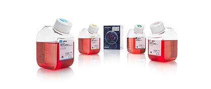 Gibco™ BenchStable™ Cell Culture Media: Go Green by Reducing Laboratory Cold Storage Needs